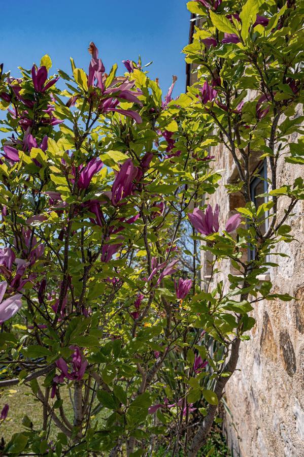 Villa Manolia Preveze Dış mekan fotoğraf